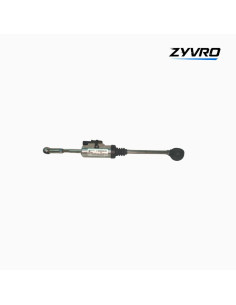 Asistente del cambio