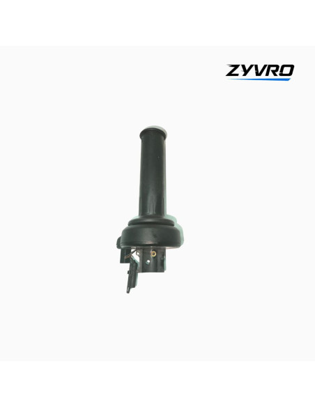 Asistente del cambio