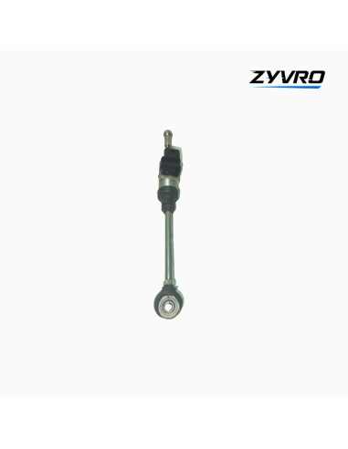 Asistente del cambio