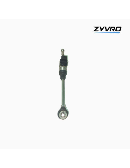 Asistente del cambio